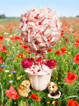 Pralinen Baum zum Geburtstag